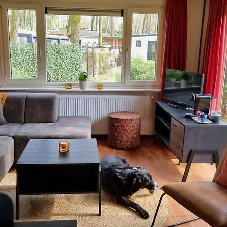 Vlak Bij Het Bos Met Omheinde Tuin - Hoenderloo, Veluwe *