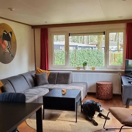 Nabij Bos I Ontspan In De *