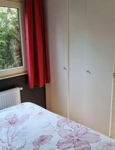 Nabij Bos I Ontspan In De Hoenderloo