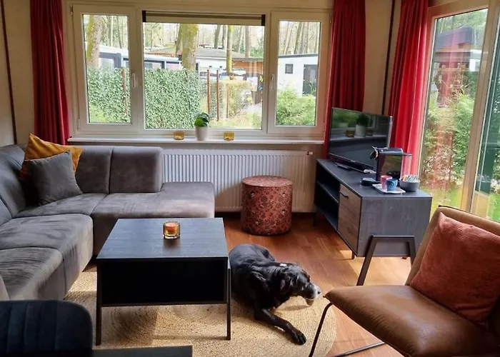 Nabij Bos I Ontspan In De *