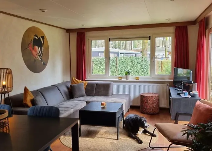 Nabij Bos I Ontspan In De *