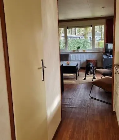 Nabij Bos I Ontspan In De Hoenderloo