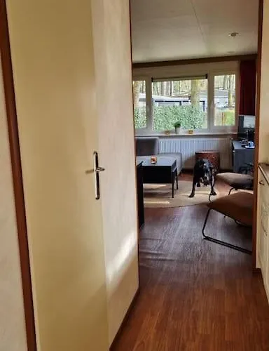 Nabij Bos I Ontspan In De Hoenderloo