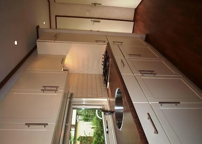 Nabij Bos I Ontspan In De